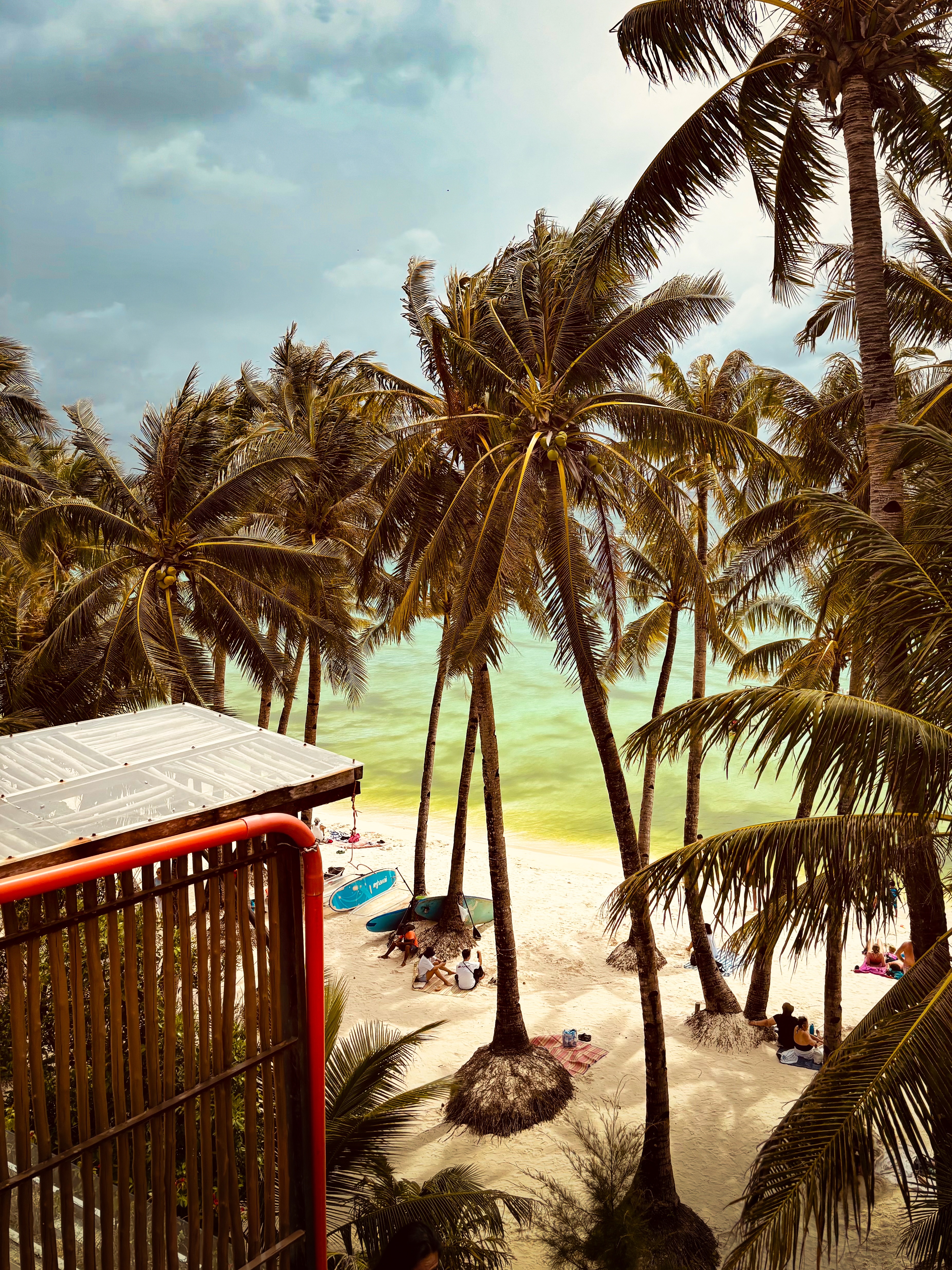Beach view from the hostel with the palm trees