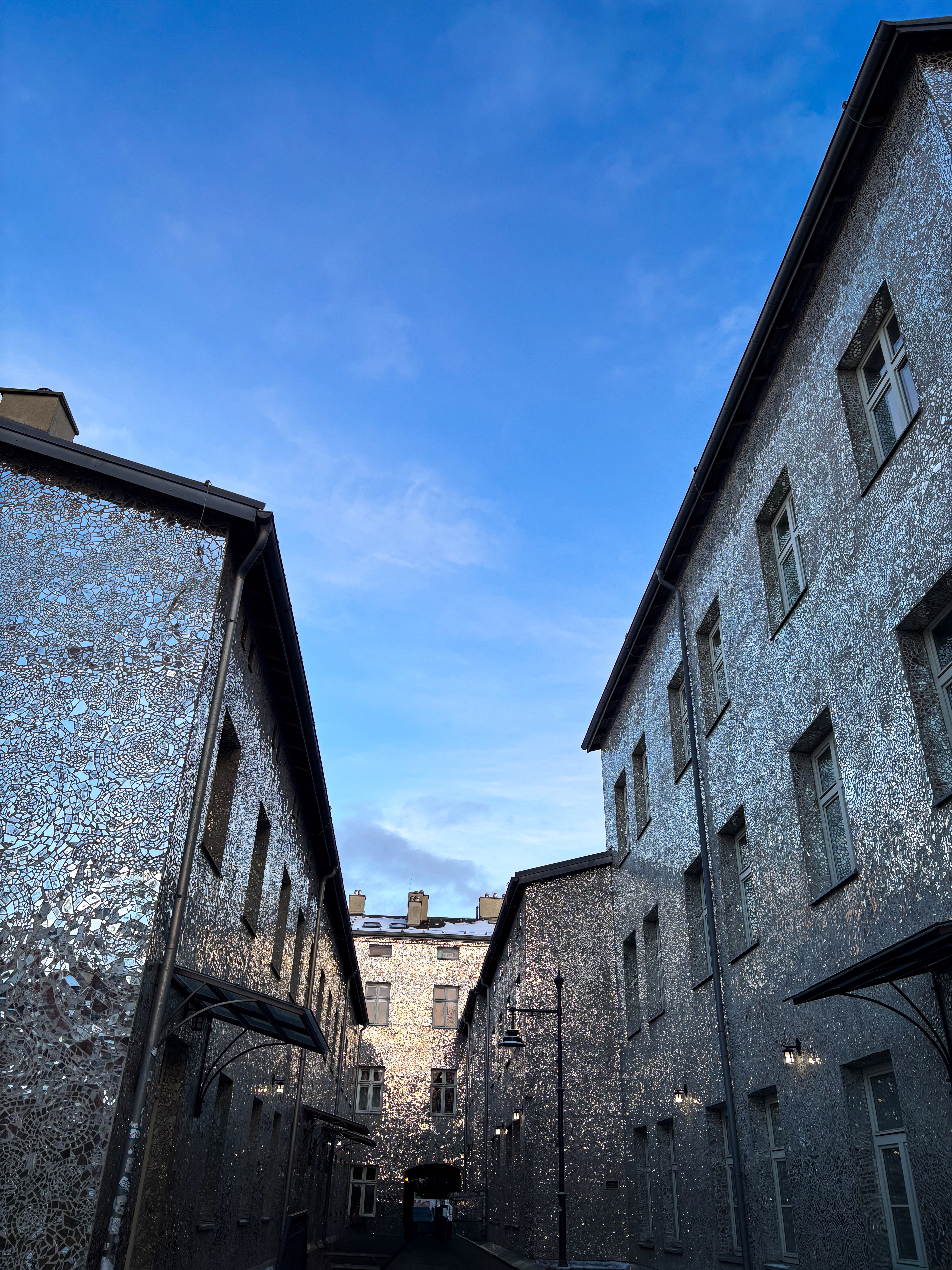 The Passage of the Rose from the other side