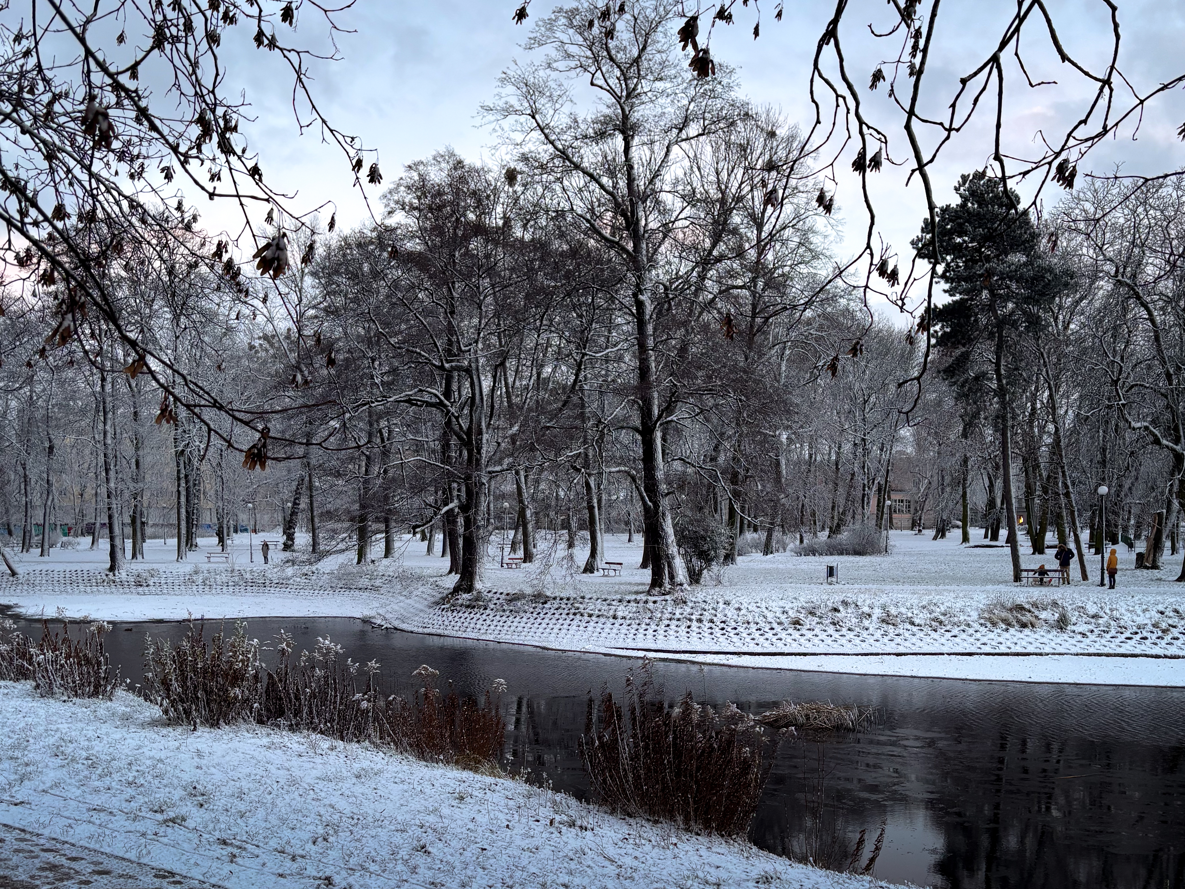 Łake and forest covered in snow